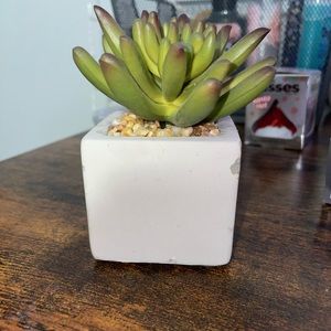 Hobby Lobby fake plant decor